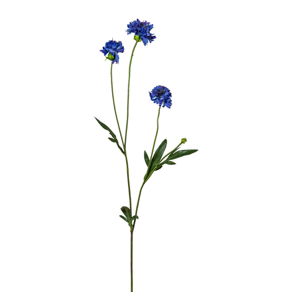 Kornblomst blå h 59 cm