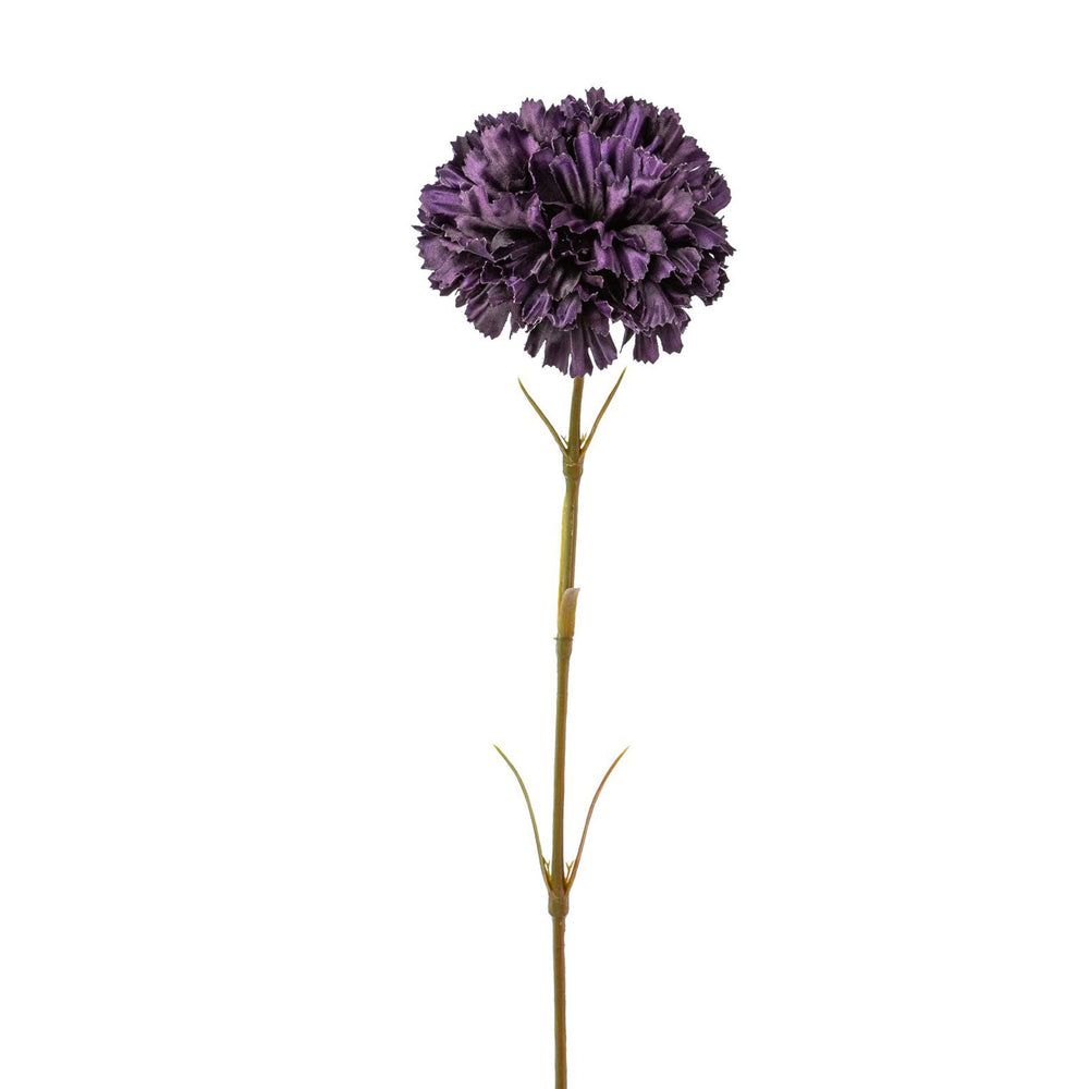 Nellike lilla H 50 cm