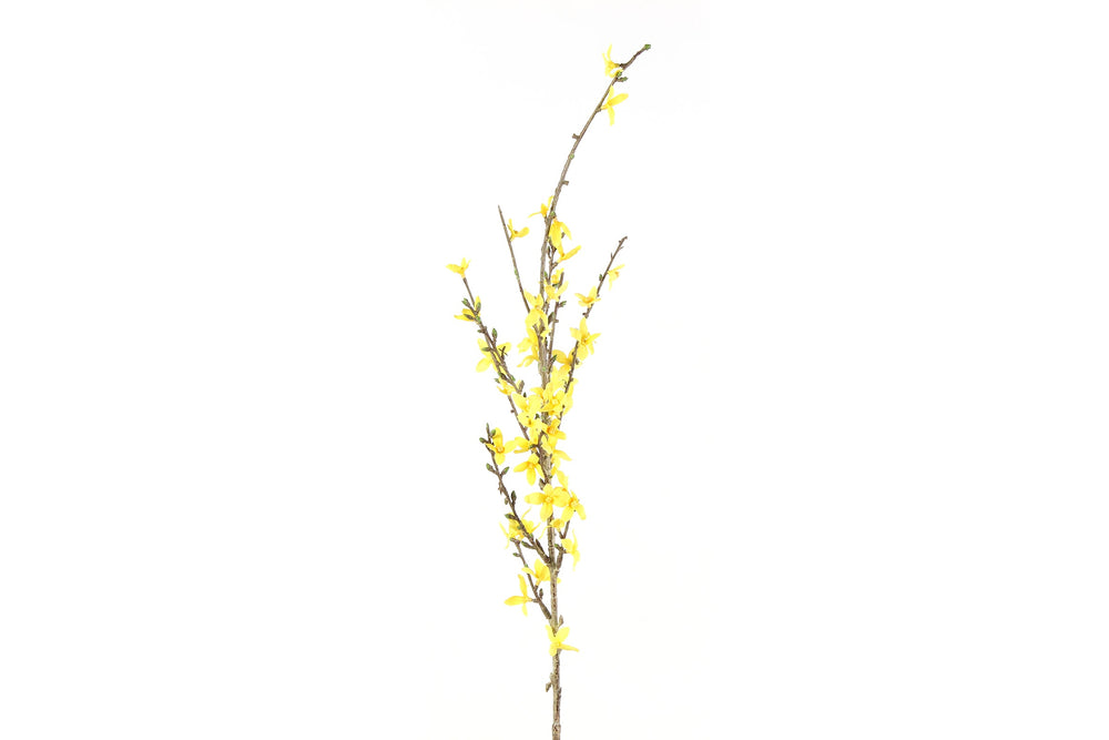 Forsythia gul h 76 cm