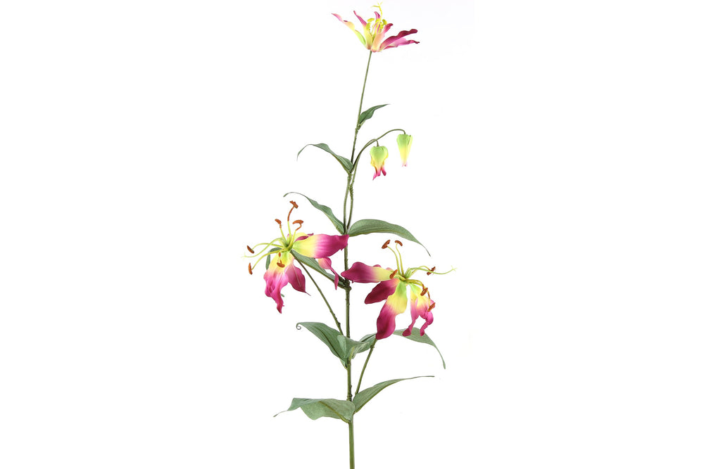 Gloriosa lilla H 80 cm
