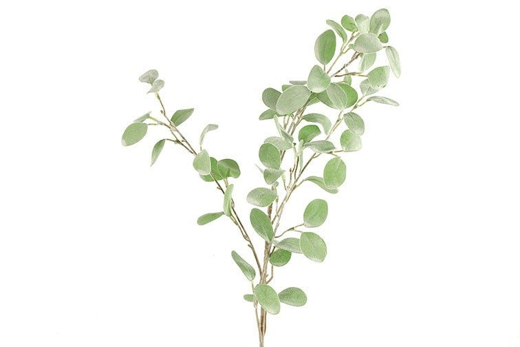 Eucalyptus gren h 85 cm